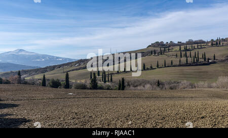 Blick auf die typisch sienesische Landschaft mit Monte Amiata bedeckt mit Schnee im Hintergrund, Toskana, Italien Stockfoto