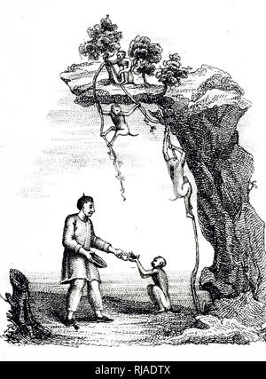 Eine Gravur, trainierten Affen verwendet wird Kaffee wächst an unzugänglichen Orten zu sammeln. Vom 19. Jahrhundert Stockfoto