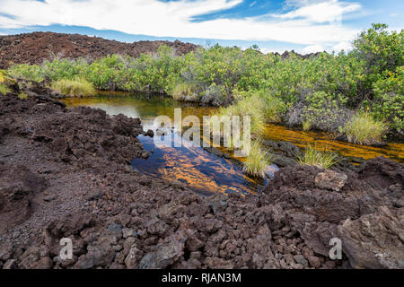 Wunderschöne goldene Pools von Keawaiki Stockfoto