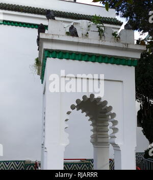 Die Grande Mosquée de Paris (gemeinhin als der Pariser Moschee oder die Große Moschee von Paris in englischer Sprache bekannt) wird in der 5. Arrondissement und ist eine der größten Moscheen in Frankreich Stockfoto