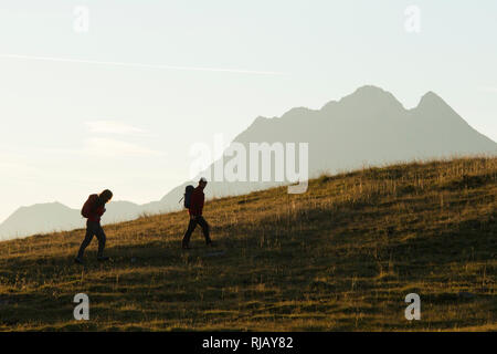 Galzig Wanderszene in St. Anton am Arlberg, Lechtaler Alpen, Tirol, Österreich. Stockfoto