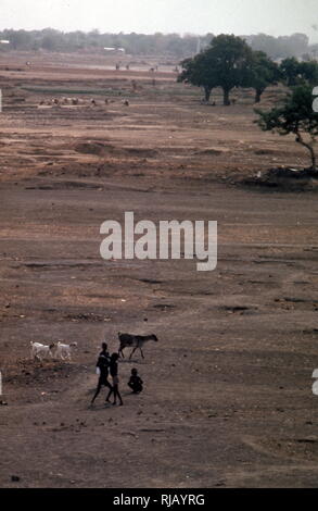 Ausgetrocknete Flussbett in Burkina Faso (Obervolta), Westafrika, während der Dürre von 1984. Von den späten 1960er bis frühen 1980er Jahre der Hungersnot starben 100.000 Menschen, 750.000 Links auf Nahrungsmittelhilfe angewiesen, und die meisten der 50 Millionen Menschen in der Sahelzone betroffen. Die Wirtschaft, die Landwirtschaft, die Viehzucht und menschlichen Populationen von viel von Mauretanien, Mali, Tschad, Niger und Burkina Faso (Obervolta während der Zeit der Dürre bekannt) waren stark beeinträchtigt Stockfoto