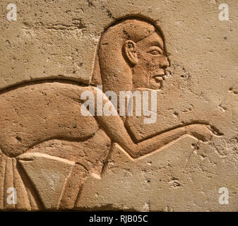 Ägyptisches Relief. Begleiter der Königlichen Familie. Dynastie 18, Echnaton Ära, Ca. 1353-36 BC. Der Met. NY, USA. Stockfoto