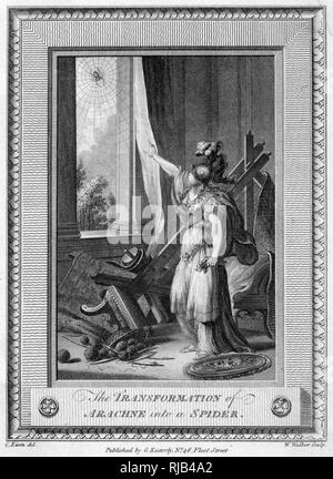 ARACHNE IN SPIDER Stockfoto