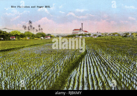 Honolulu, Hawaii, USA - Reis Plantage und Sugar Mill Stockfoto