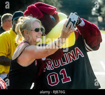 Universität von South Carolina Kampfhahn, Maskottchen Cocky ist ein grosser Erfolg auf dem Campus während Spiel Tag. Stockfoto