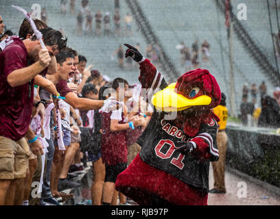 Universität von South Carolina Kampfhahn, Maskottchen Cocky ist ein grosser Erfolg auf dem Campus während Spiel Tag. Stockfoto