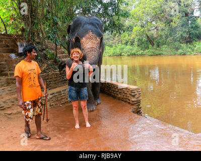 Weibliche Touristen- und mahout waschen Elefant an Dudhsagar Wasserfälle, Meer von Milch, Mandovi Fluss, Goa, Indien Stockfoto