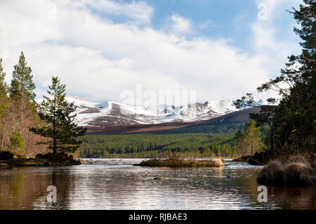 Ein Blick auf Loch Morlich an einem strahlenden Frühlingstag, mit Mount Cairn Gorm im Hintergrund. Cairngorms National Park, Inverness-shire, Schottland. März. Stockfoto