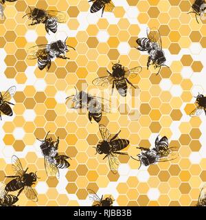 Nahtlose Muster von Hand gezeichnete Skizze stil Bienen und Bienenwaben. Vector Illustration. Stock Vektor