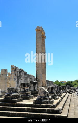 Antike Stadt Didyma, Türkei. Tempel des Apollo zwischen BC 2-5 Jahrhunderten und einer der wichtigsten Weissagung Zentren der antiken Welt gebaut Stockfoto