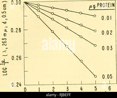 . Zelle Chemie; eine Sammlung von Papieren zu Otto Warburg anlässlich seines 70. Geburtstag gewidmet. Warburg, Otto Heinrich, 1883 -; Biochemie. VOL. 12 (1953) FNZYMES DER FETTSÄURE STOFFWECHSEL 311 Konstante der Reaktion wurde noch nicht ermittelt, aber es scheint die S zu Gunsten-/3-hydroxyacyl Derivate. Nichts kann noch als an der Kette gesagt werden - Länge Spezifität von crotonase und folglich das Auftreten verschiedener Enzyme dieser Art ist nicht ausgeschlossen. Crotonase scheint auch auf S-vinyl-acetyl CoA an der j8-hydroxybutyryl Derivate^* konvertieren. Wenn ja, ein Gleichgewicht wäre, Stockfoto