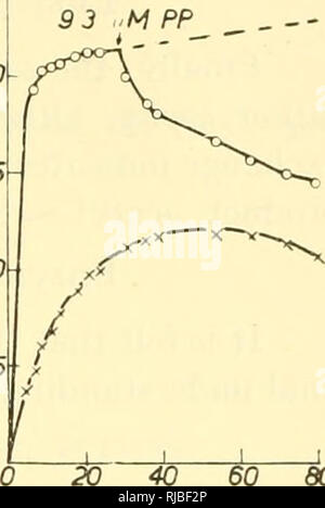 . Zelle Chemie; eine Sammlung von Papieren zu Otto Warburg anlässlich seines 70. Geburtstag gewidmet. Warburg, Otto Heinrich, 1883 -; Biochemie. VOL. 12 (1953) Acetyl-coenzym A SYNTHESE 147 Reversibilität. Die Umstellung der energiereichen Band der acetyl CoA in den energiereichen pyrophosphoryl Band der ATP wurde durch die Verwendung von acetyl Phosphat und phosphotransacetylase wie Acetyl feeder System mit katalytischen Mengen von CoA demonstriert. Die Ex-periment von Tabelle V zeigt, dass das Hinzufügen von pyrophosphat und AMP für diese Reaktion notwendig ist. Darüber hinaus ist die Reversibilität der Reaktion kann sein Stockfoto