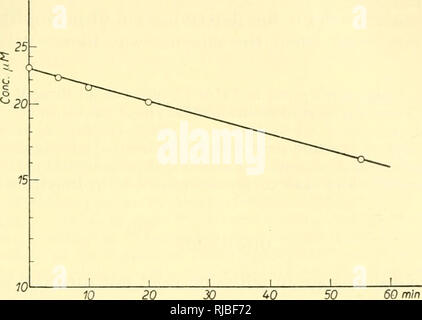 . Zelle Chemie; eine Sammlung von Papieren zu Otto Warburg anlässlich seines 70. Geburtstag gewidmet. Warburg, Otto Heinrich, 1883 -; Biochemie. VOL. 12 (1953) ER. T DER HYDROLYSE VON TRIMETAPHOSPHATE 125 verringerte sich auf 60 % der erwarteten Wert für eine Reaktion erster Ordnung: Allerdings ist diese Diskrepanz war quantitativ durch die Inaktivierung des Enzyms erklärt. 60 min Abb. I. in der Kinetik der Hydrolyse von enzymic trimetaphosphate in Halblogarithmischen Koordinaten. Ordinate, Substrat Konzentration, Abszisse, Dauer der Hydrolyse. Kalorimetrische Messungen durch einen angemessenen Selbstbehalt von Buff Stockfoto