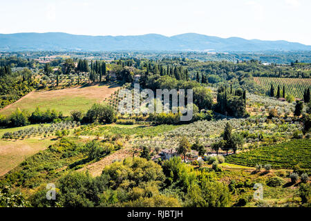 San Gimignano, Italien Landschaft mit sanften Hügeln mit Weinbergen, Weingüter, Villen in Stadt Dorf während der sonnigen Sommer Antenne Hohe Betrachtungswinkel mit Oliven Stockfoto