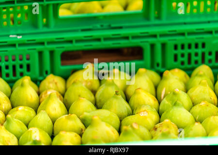 Frische reife Grün Gelb Farbe Feigen Früchte in Chiusi, Italien der Sommer Straße Bauernmarkt in Kisten Kisten Stockfoto