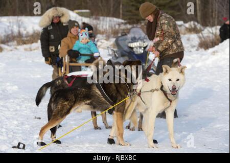 Ein Sled Dog Team bietet Fahrten zu Hillberg Skigebiet Besucher an Joint Base Elmendorf-Richardson, Alaska, 14.01.2018. Als Teil der Moral, Wohlfahrt und Erholung Programm bewirtet durch die 673 d Force Support Squadron und JBER Life Team, die hillberg Skigebiet bietet die mit Base Access eine Vielzahl von Wintersportmöglichkeiten und Veranstaltungen. Stockfoto