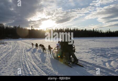 Ein Sled Dog Team bietet Fahrten zu Hillberg Skigebiet Besucher an Joint Base Elmendorf-Richardson, Alaska, 14.01.2018. Als Teil der Moral, Wohlfahrt und Erholung Programm bewirtet durch die 673 d Force Support Squadron und JBER Life Team, die hillberg Skigebiet bietet die mit Base Access eine Vielzahl von Wintersportmöglichkeiten und Veranstaltungen. Stockfoto