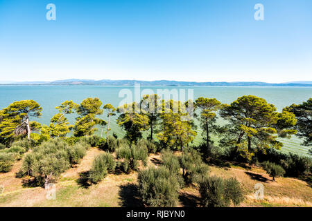 Antenne hohen Betrachtungswinkel von Castiglione del Lago, Umbrien, Italien Rocca mit Olivenbäumen Grove in sonnigen Sommertag am See Trasimeno und Sky Stockfoto