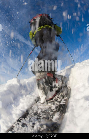 Schneeschuh Wanderer am Gipfelgrat der Geiskopf, Gerlostal, Zillertaler Alpen, Tirol, Österreich Stockfoto