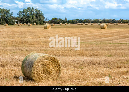 Heuballen auf einem Feld, Western Australia, Australien Stockfoto