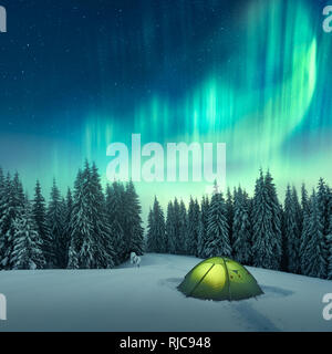 Aurora Borealis. Nordlichter im Winter Wald. Himmel mit Polar Lights und Sterne. Nacht Winterlandschaft mit Aurora, grüne Zelt- und Kiefernwald. Travel Concept Stockfoto