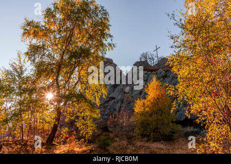 Birken im Herbst mit Bruchhauser Steine, Hildfeld, Sauerland, Deutschland Stockfoto