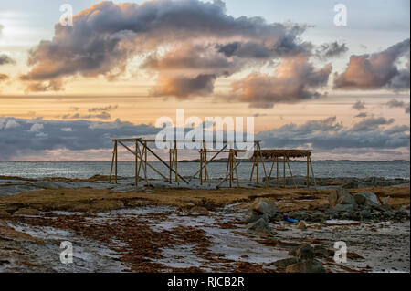 Fisch trockenständer am Strand, Lofoten, Nordland, Norwegen Stockfoto