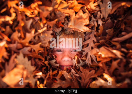 Junge begraben in einem Stapel Blätter im Herbst, United States Stockfoto
