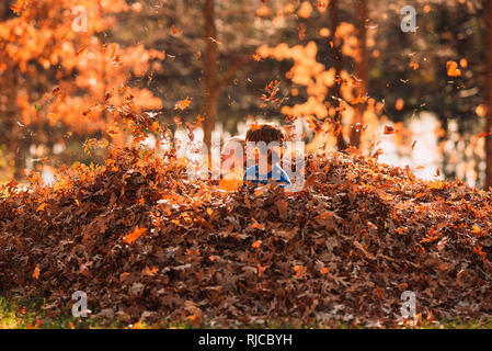 Zwei Jungen spielen in einem Stapel von Blättern, United States Stockfoto