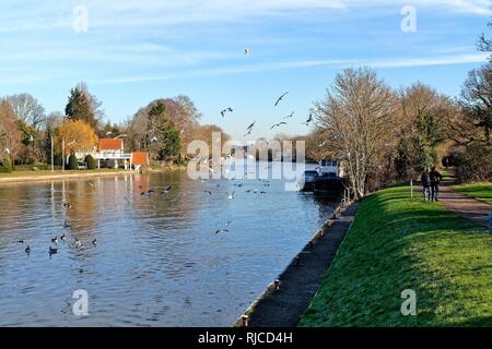 Die Themse an einem kalten sonnigen Wintertag Sunbury Surrey England Großbritannien Stockfoto