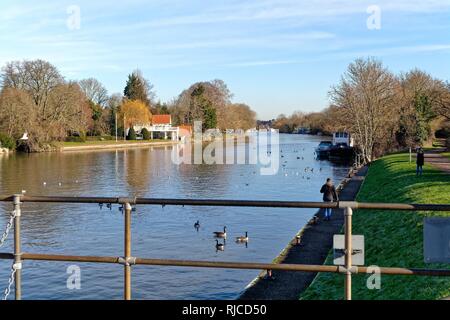 Die Themse an einem kalten sonnigen Wintertag Sunbury Surrey England Großbritannien Stockfoto