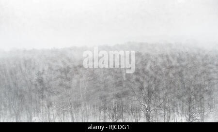 Panoramablick auf die Stadt Park im Schneesturm in schneereichen Winter Tag Stockfoto