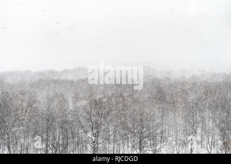 Über einen Blick auf das City Park im Schnee Blizzard in schneereichen Winter Tag Stockfoto