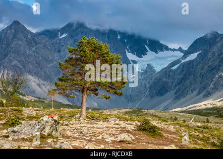 Cairn als Wegweiser zum Glacier Lenangsbreen, einsamen großen Baum, auf Wanderung zum Gletscher See Blåvatnet, blaues Wasser See, Blavatn Gletscher, Bäche, d Stockfoto