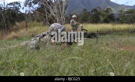 Ein Soldat an die Zentrale und Sitz der Batterie, 94th Army Air und Raketenabwehr Befehl schießen die Squad Automatic Weapon (SAW) M249 Light Machine Gun bei Dichte Woche der Einheit Jan 8-11 gehalten zugeordnet. Die Ausbildung der Einheit Führung und Soldaten die Gelegenheit, ihre Waffen, Fähigkeiten und Kenntnisse über ihre zugewiesenen Gang Vertrauen zu stärken. Stockfoto