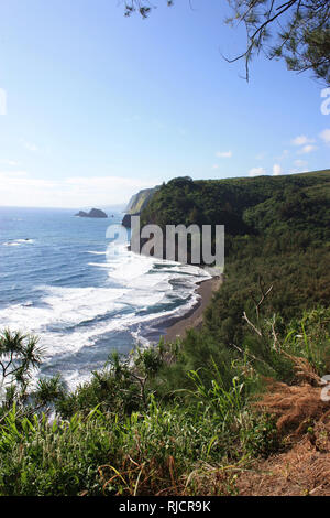 Die Kohala Küste bei Pololu Tal, der üppigen Vegetation, die den Kohala Mountains, schwarzer Sandstrand und weißen Schäumen im Pazifischen Ozean kommen, eine Stockfoto