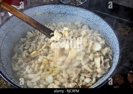 Kochen Schweinefleisch und Speck, Fett und frische Grammeln. Stockfoto