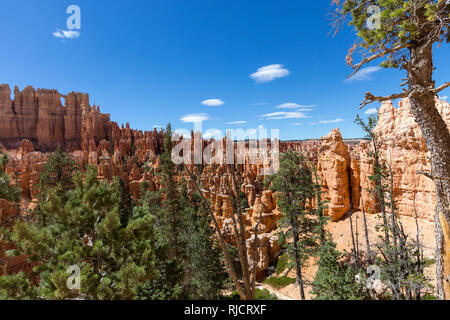 Bryce-Canyon-Nationalpark, Utah, USA Stockfoto