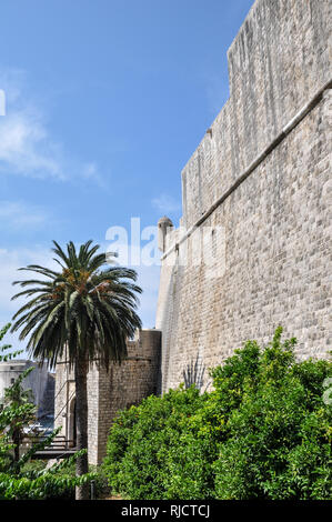 Der äußere Teil des Ploce und die Wände auf der Außenseite der Altstadt von Dubrovnik, Kroatien Stockfoto