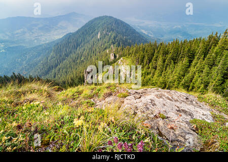 Die malerische Landschaft in der Wahrzeichen Ceahlau Massiv, Karpatenbogens, Rumänien. Stockfoto