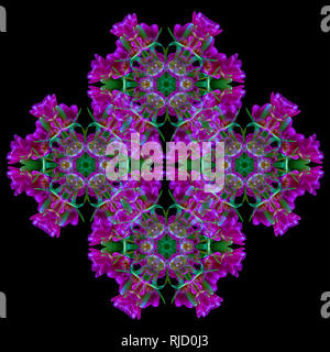Fine Art Floral dekorative und geometrische Farbe Muster/Mandala aus Makros von Lila Grün Tulpen auf schwarzem Hintergrund in vintage Malerei Stockfoto