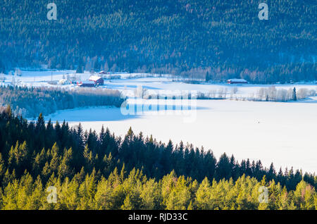 Oslo ist von riesigen natürlichen Erholungsgebiet umgeben, zugänglich für freie und perfekt für alle Arten von Winter freshair Aktivität, z.b. Wandern. Auf Foto: Stockfoto
