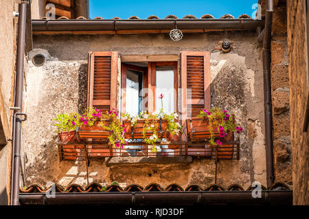 Orvieto, Italien Stadt oder Dorf Stadt in Umbrien und in Nahaufnahme der offenen Fenster Fensterläden und Rosa Lila malva Blumendekoration auf sonnigen Sommertag niemand Stockfoto