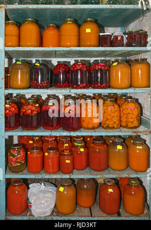 Close-up Regal mit vielen Gläsern Heimat-dosen Bestimmungen der leuchtend rote und orange Farben in Haus Keller. Stockfoto