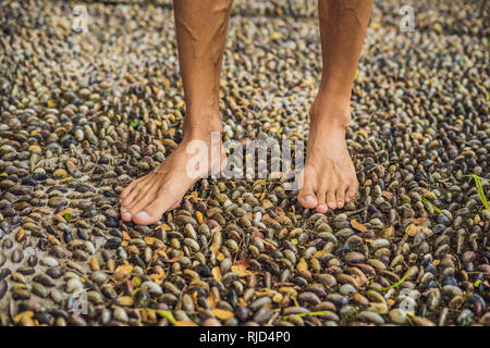 Menschen gehen auf eine strukturierte, mit Kopfstein Pflaster, Reflexzonenmassage. Pebble Stones auf dem Bürgersteig für Fußreflexzonenmassage. Stockfoto