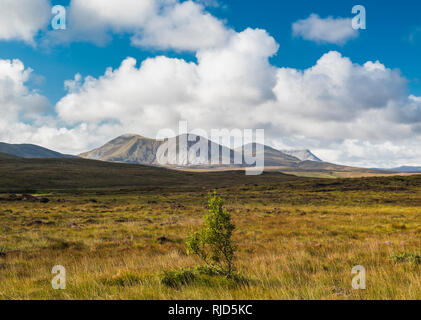 Blick über Derryveagh bogland in Richtung der Berge, einschließlich der berühmten Mount Errigal, von bogland in der Nähe von Falcarragh, County Donegal, Irland Stockfoto