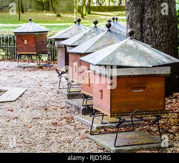 Holz- Bienenstöcke mit Sechskant verzinkt auf der Dachterrasse am Fuße einer Rosskastanie Baum im Jardin du Luxembourg in Paris, Frankreich, an einem sonnigen Morgen. Stockfoto