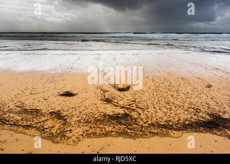 Fanore Beach, dem Burren, Co. Clare, Irland Stockfoto