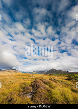 Blick über die Twelve Bens (Beanna Beola) Berge von Connemara, von außerhalb des Dorfes von Letterfrack, County Galway, Irland bog Stockfoto